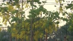 ခေတ်သင်္ကြန်