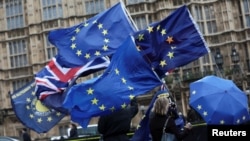 Anti-Brexit protesters demonstrate outside the Houses of Parliament in London, Britain, Dec. 13, 2017. 