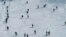 Arxiv surat. Kashmirning Gulmarg tog' kurorti, 2008-yil fevrali.