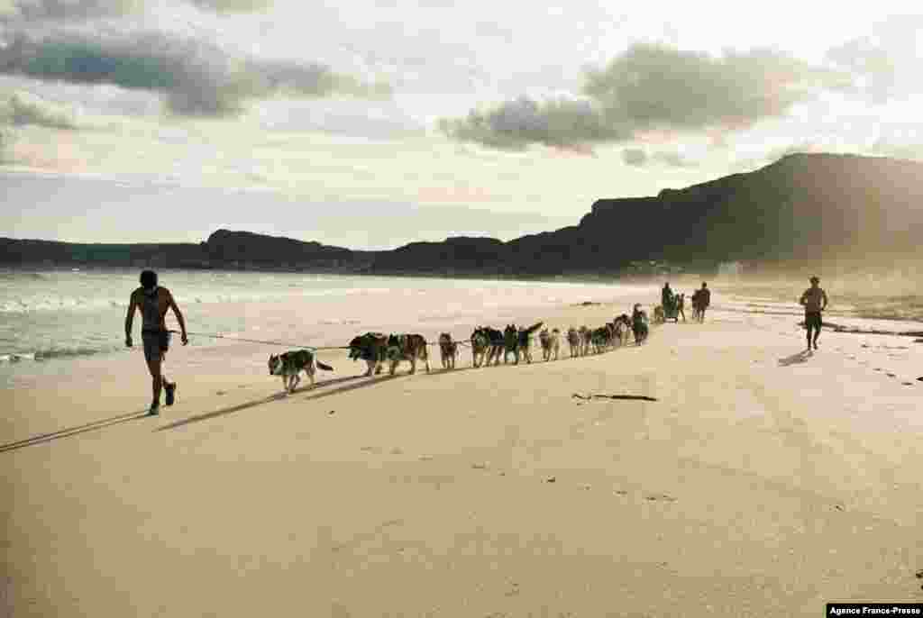 Dogs and mushers train on the beach of Muizenberg, in the late afternoon on Muizenberg beach in Cape Town, South Africa, Nov. 13, 2021.