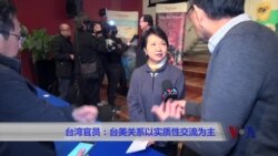 台湾官员：台美关系以实质性交流为主