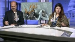 بي بي شیرینه – وي او اې ډيوه په ټیلې ویژن