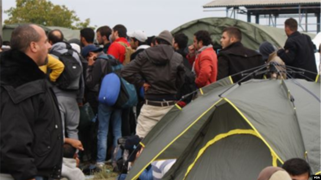 Para migran di Serbia (Foto: dok.)
