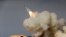 FILE - A long-range S-200 missile is fired in a military drill in the port city of Bushehr, on the northern coast of Persian Gulf, Iran, Dec. 29, 2016.