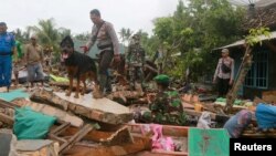 Tim SAR menggunakan anjing pelacak untuk mencari korban tsunami di antara reruntuhan bangunan di Rajabasa, Lampung selatan. 