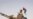 Libyan Fighters Surround Gadhafi Stronghold