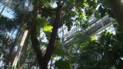 美语起跑线:迷路了