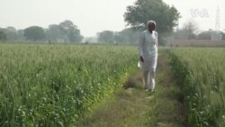 India Farmers Village ....