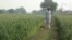 India Farmers Village - USAGM