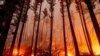 Incendios forestales afectan la calidad del aire en todo Estados Unidos