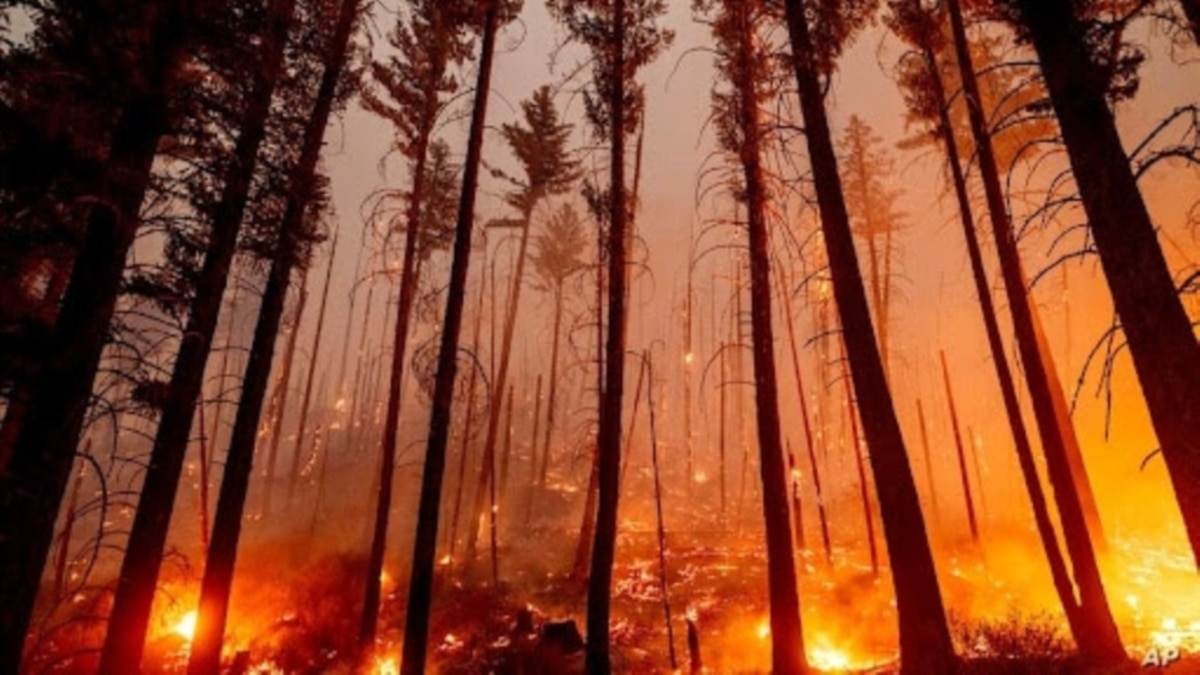 Incendios forestales afectan la calidad del aire en todo Estados Unidos
