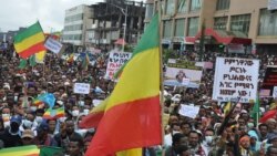 የደብረ ብርሃኑ ሰልፍ