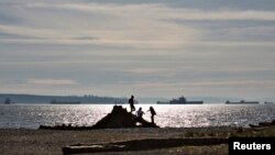 Children climb on a large piece of driftwood along the beach of Ambleside Park in West Vancouver, British Columbia, March 25, 2013. A man walking his dog on a Vancouver beach discovered a sneaker-clad foot Wednesday, the 13th severed extremity to wash ashore in British Columbia since 2007.