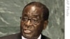 穆加贝指控外国势力分裂津巴布韦政府