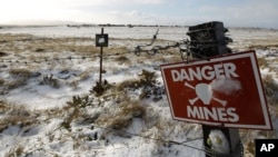 A mine field from the 1982 Falklands War between Britain and Argentina is seen near Stanley, Falkland Islands, June 10, 2012.