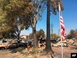 Una bandera sobrevivió inexplicablemente un incendio que destruyó casi por completo un vecindario en Coffey Park, Santa Rosa, California. Oct. 12, 2017.