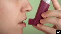 Health Experts Say Food, Environment Can Affect Asthma Sufferers