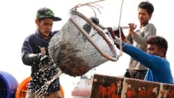 美國政府政策立場社論：令人不安的漁業部門強迫勞動報告