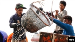 ထိုင်းငါးဖမ်းလုပ်ငန်းခွင်က မြန်မာရွှေ့ပြောင်း အလုပ်သမားတချို့