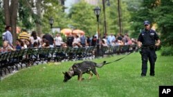 A bomb-sniffing dog works near the scene of an explosion in New York's Central Park, July 3, 2016. A firework exploded when a 19-year-old unwittingly stepped on it Sunday.