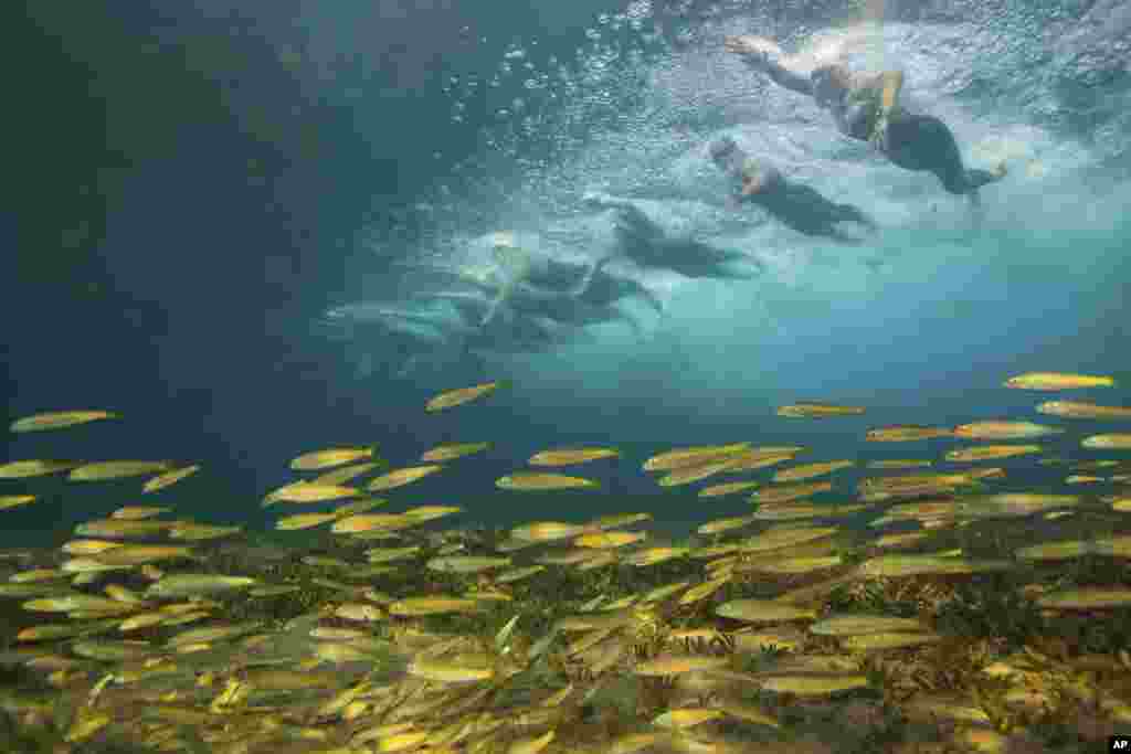 Swimmers compete at FINA World Junior Open Water Swimming Championships in Eilat, Israel.