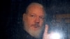 Người sáng lập WikiLeaks bị Anh kết án tù 50 tuần