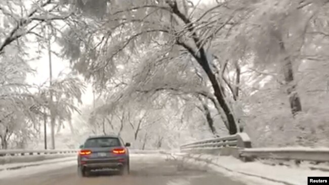 一辆汽车驶过密苏里州堪萨斯市道路两旁被大雪压弯的树木。（2019年1月12日）