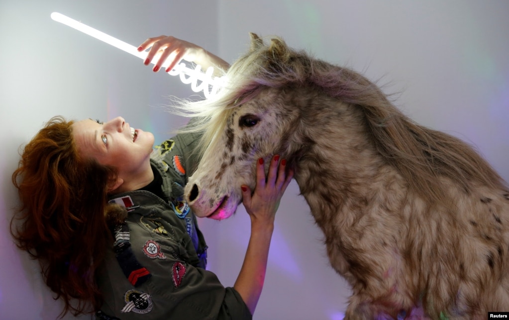 Artist and naturalist Stephanie Barthes sets a neon light on a stuffed pony as she works on her art creation called 