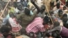 South Sudan Border Clashes Threaten Regional Hunger