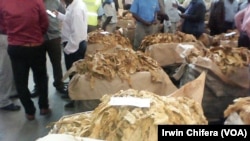 The tobacco selling season in Zimbabwe started recently with the Tobacco Industry and Marketing Board reporting that this year's crop will reach 200 million kilograms