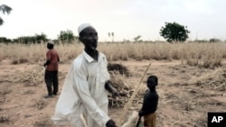 A man from Niger in his ravaged field due to lack of rain this year. Western Niger is under the risk of a new food crisis. (File Photo - October 8, 2011)