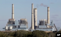 FILE- The Fayette Power Project, a coal-fired power plant, is shown in Ellinger, Texas, Dec. 15, 2010. Some environmentalists, ranchers and scientists linked tree deaths in the area to sulfur dioxide emissions from the plant.