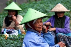 Petani lansia sarapan di lahan pertanian di kawasan pegunungan Dieng di Banjarnegara, Provinsi Jawa Tengah, 15 November 2020. (REUTERS/Willy Kurniawan)