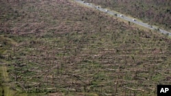FILE - Downed trees are seen from the air on Tyndall Air Force Base in the aftermath of Hurricane Michael near Mexico Beach, Fla., Oct. 12, 2018.