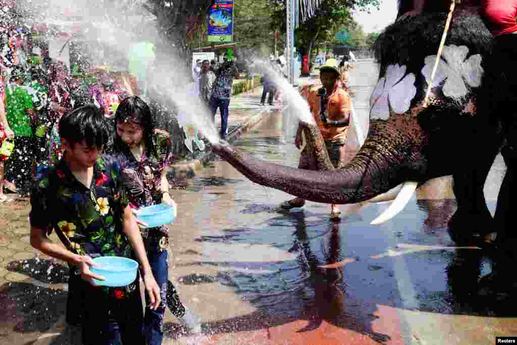 آب بازی فیل ها و مردم در جشن آب پاشی یا فستیوال سونگکران در تایلند به مناسبت فرا رسیدن سال نو در آن کشور &nbsp; &nbsp; &nbsp;