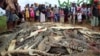 ‘Trả thù’ cá sấu tấn công, dân làng Indonesia giết gần 300 con khác