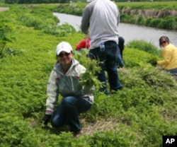 The three-day program included conservation activities like pulling invasive weeds from banks of the Platte River.