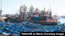 Le Maroc et l'Union européenne se sont mis d'accord sur le renouvellement de leur accord de pêche, le 20 juillet 2018. (Twiter/UE au Maroc)