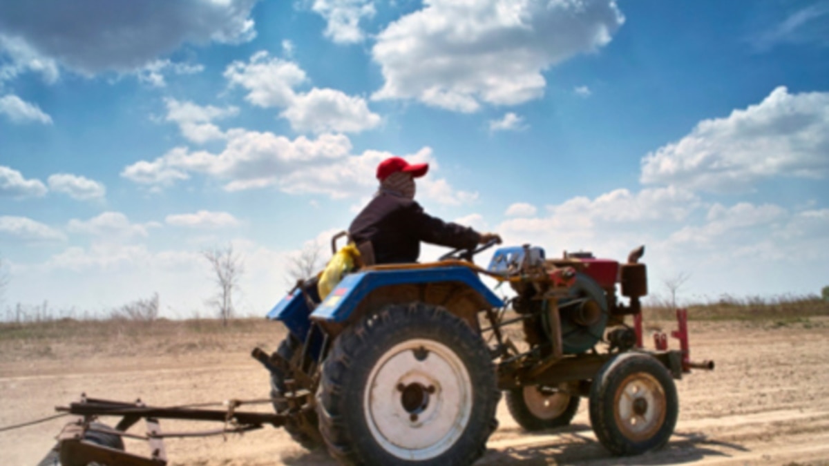 White Zimbabwean Farmer Shot Dead In Apparent Home Invasion Armed Robbery