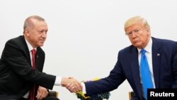 Erdogan û Trump