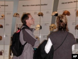 Seventy-six skulls on the human family tree at the David H. Koch Hall of Human Origins at the Smithsonian Institution.