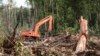 Sebuah ekskavator terlihat di hutan yang hancur di kawasan lahan gambut di Kabupaten Kuala Tripa di Nagan Raya, Aceh. (Foto: REUTERS/Roni Bintang)