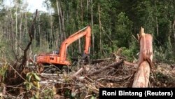 Sebuah ekskavator terlihat di hutan yang hancur di kawasan lahan gambut di Kabupaten Kuala Tripa di Nagan Raya, Aceh. (Foto: REUTERS/Roni Bintang)