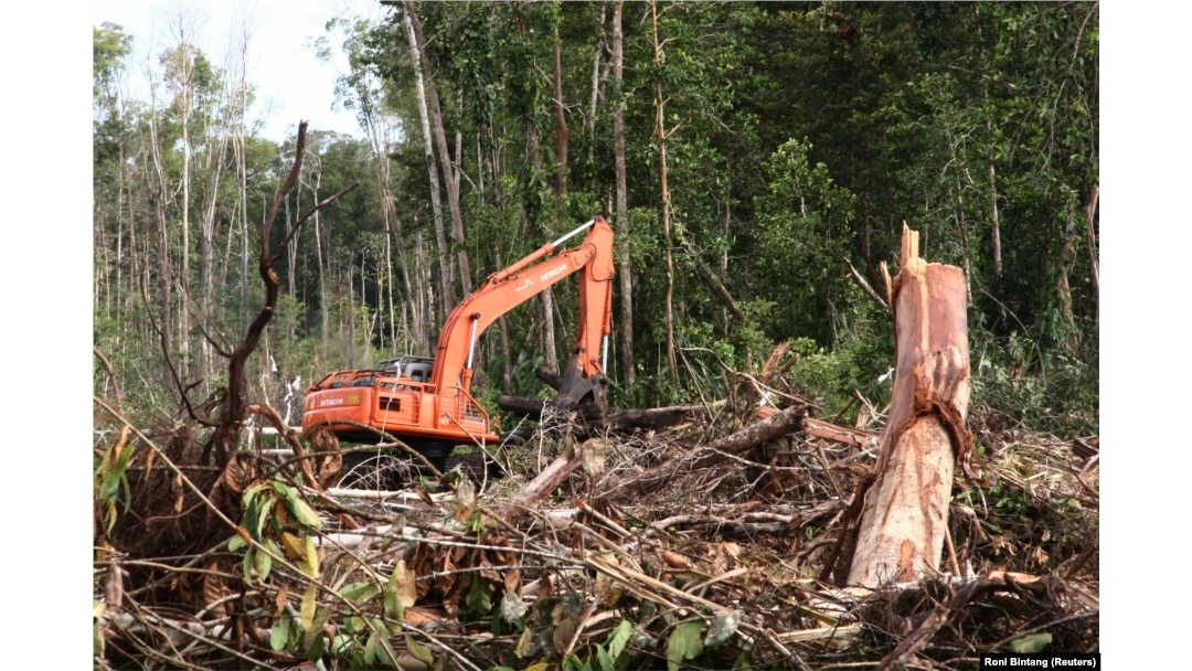 Sebuah ekskavator terlihat di hutan yang hancur di kawasan lahan gambut di Kabupaten Kuala Tripa di Nagan Raya, Aceh. (Foto: REUTERS/Roni Bintang)