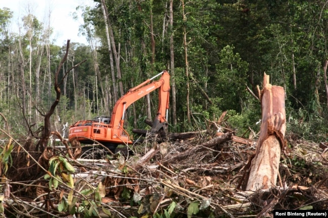 Sebuah ekskavator terlihat di hutan yang hancur di kawasan lahan gambut di Kabupaten Kuala Tripa di Nagan Raya, Aceh. (Foto: REUTERS/Roni Bintang)