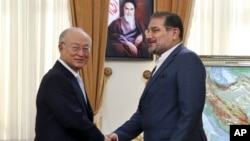 Sekretaris Dewan Keamanan Nasional Iran Ali Shamkhani (kanan) menyambut Direktur Jenderal Badan Energi Atom Internasional (IAEA) Yukiya Amano pada pertemuan di Teheran (2/7). (AP Photo/Vahid Salemi)