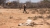 UN: Early Weather Forecasts Key to Saving Lives in Drought