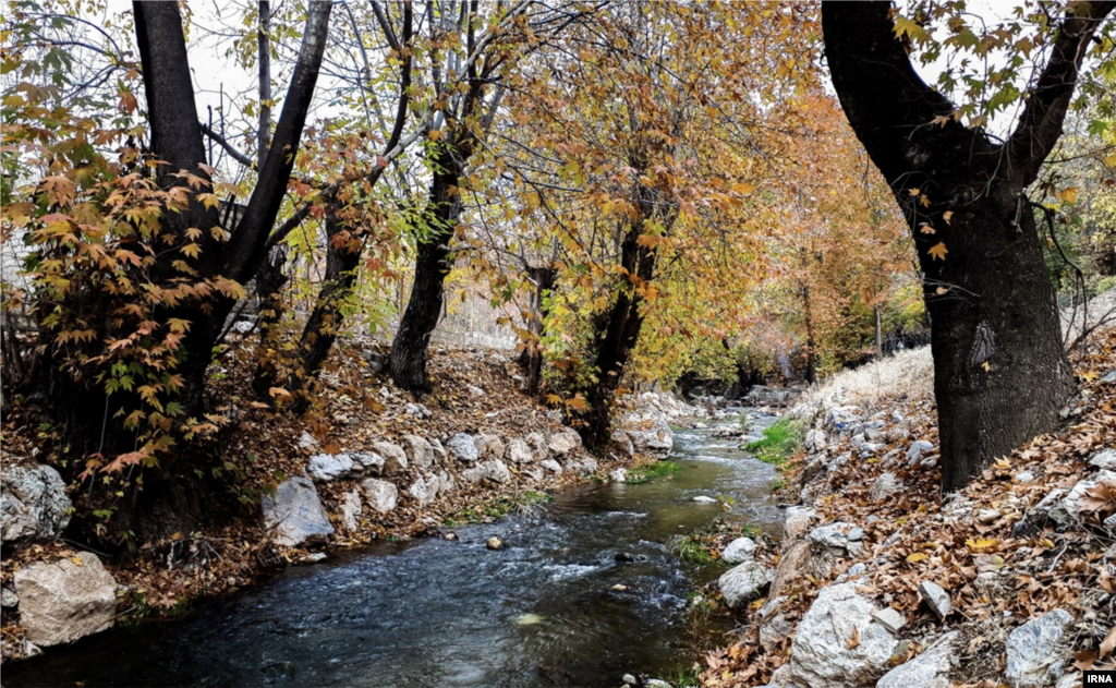 طبیعت هزار رنگ باغ های شهرستان صحنه در استان کرمانشاه 