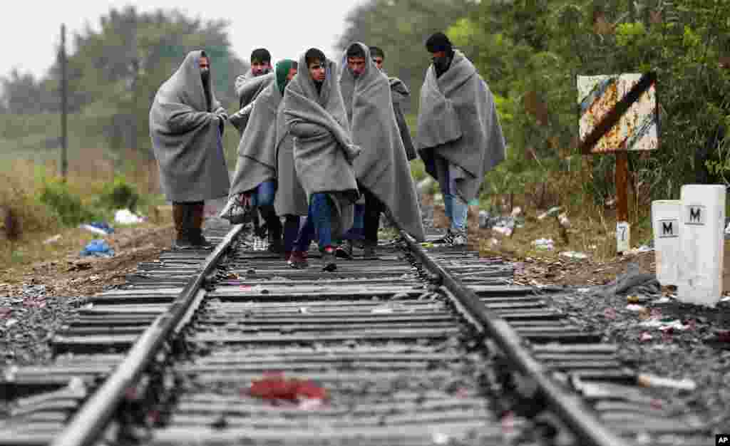 Migrants cross the Serbian-Hungarian border at the railway track near Roszke, southern Hungary. Leaders of the United Nations refugee agency warned that Hungary faces a bigger wave of 42,000 asylum seekers in the next 10 days and will need international help to provide shelter on its border.