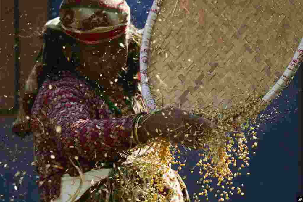 A Nepalese woman separates chaff from wheat on the outskirts of Katmandu, Nepal, May 2, 2019. 